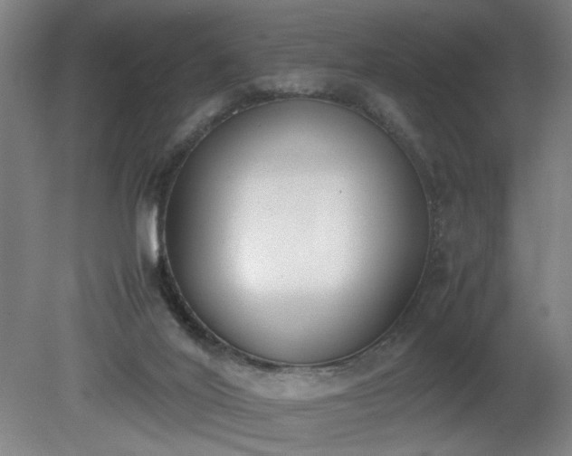 X0000081270020200701181729