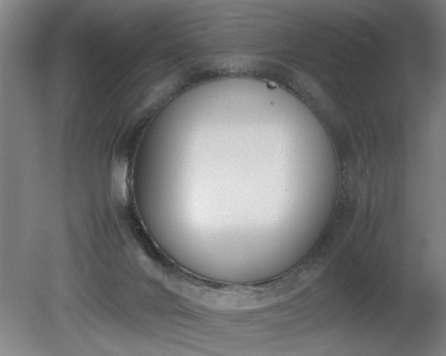 X0000081270024200701181729