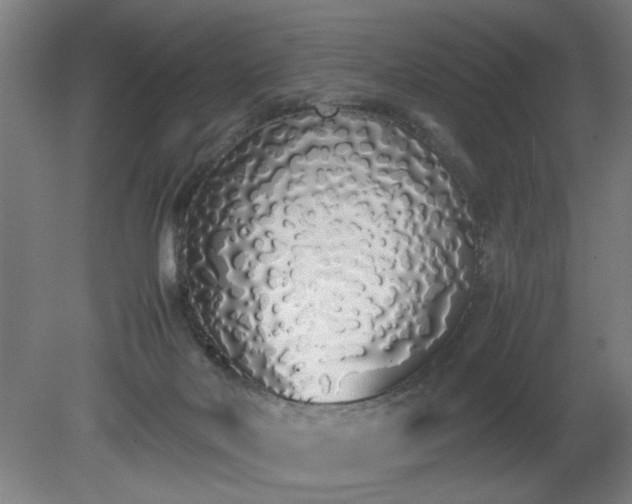 X0000081270026200701181728