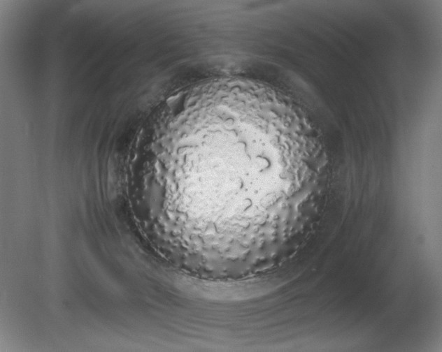 X0000081270030200701181728