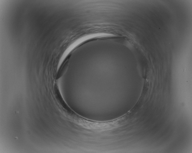 X0000081270031200701181728
