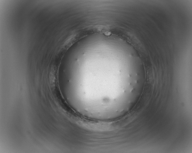 X0000081270032200701181728