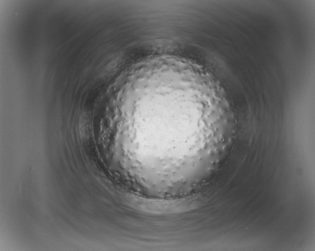 X0000081270034200701181728