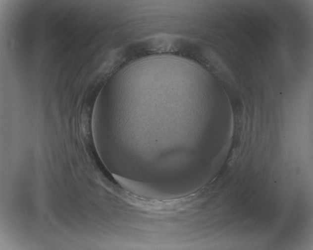 X0000081270035200701181728