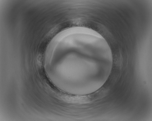 X0000081270036200701181728