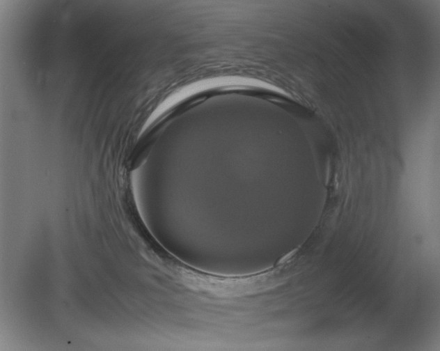 X0000081270039200701181728