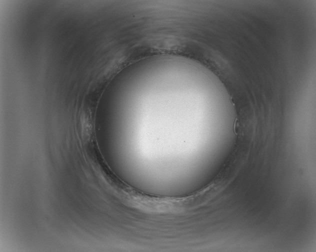 X0000081270040200701181728