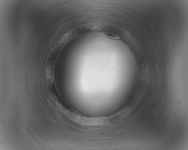 X0000081270044200701181728