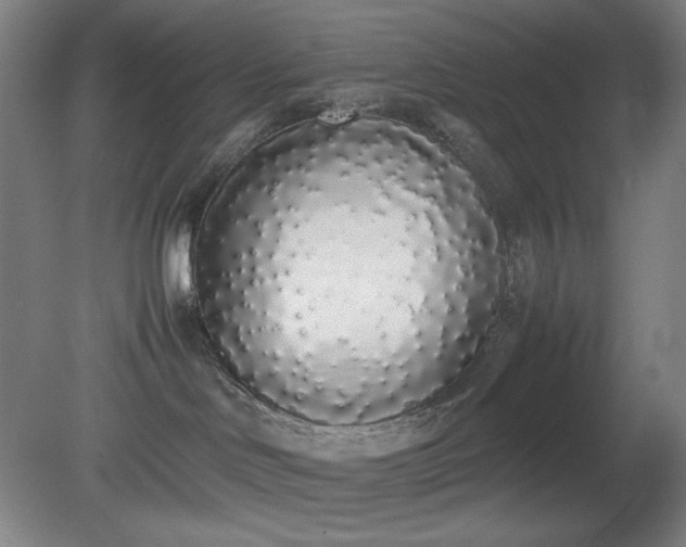X0000081270046200701181728