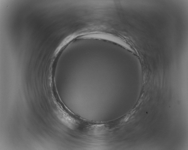 X0000081270054200701181727