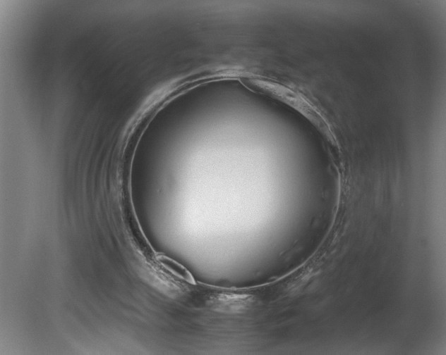 X0000081270055200701181727