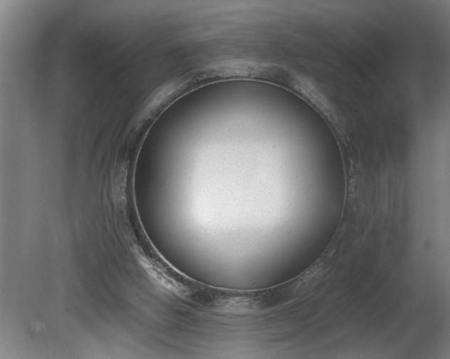 X0000081270058200701181727