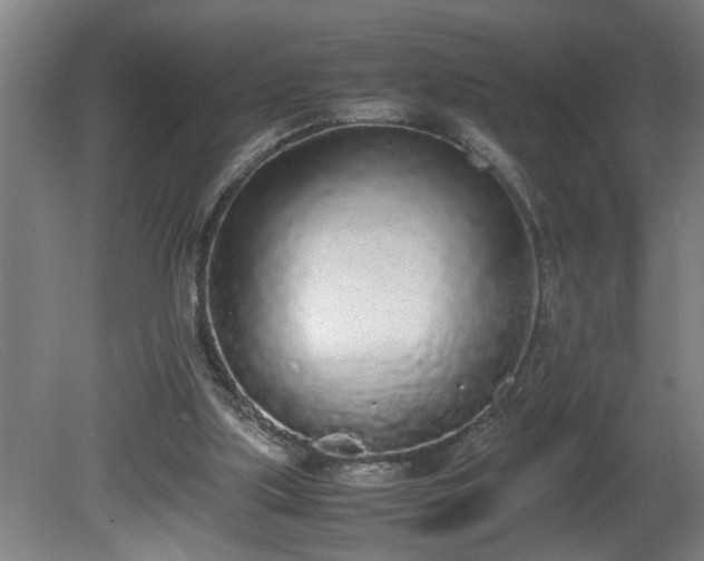 X0000081270059200701181727
