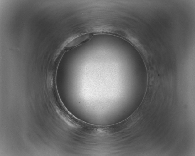 X0000081270060200701181727