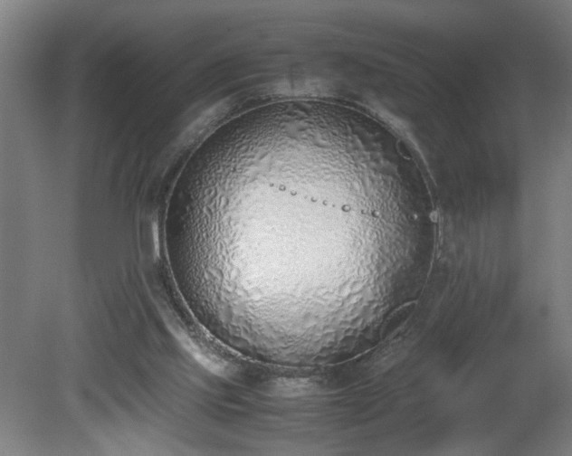 X0000081270061200701181727