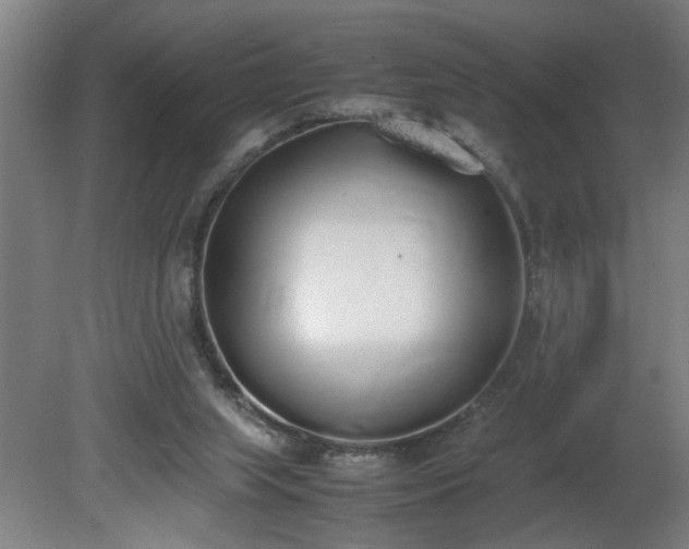 X0000081270063200701181728