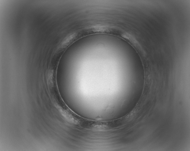 X0000081270066200701181728