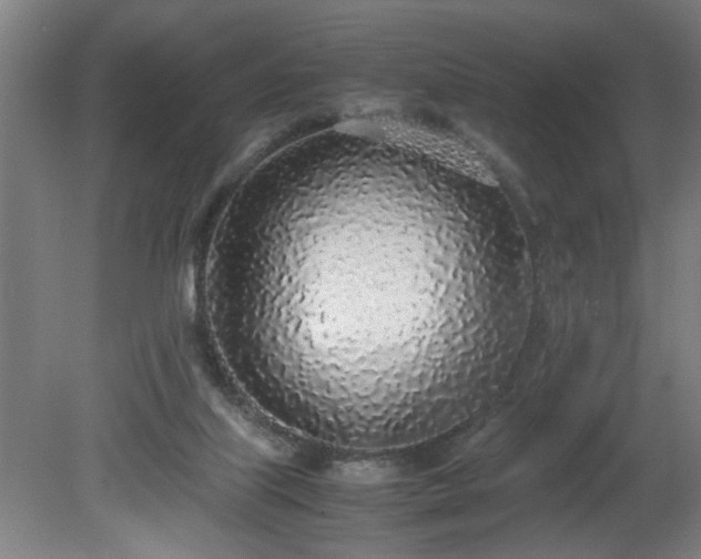X0000081270067200701181728