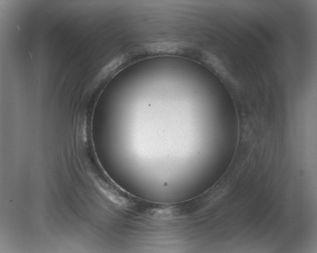 X0000081270068200701181728
