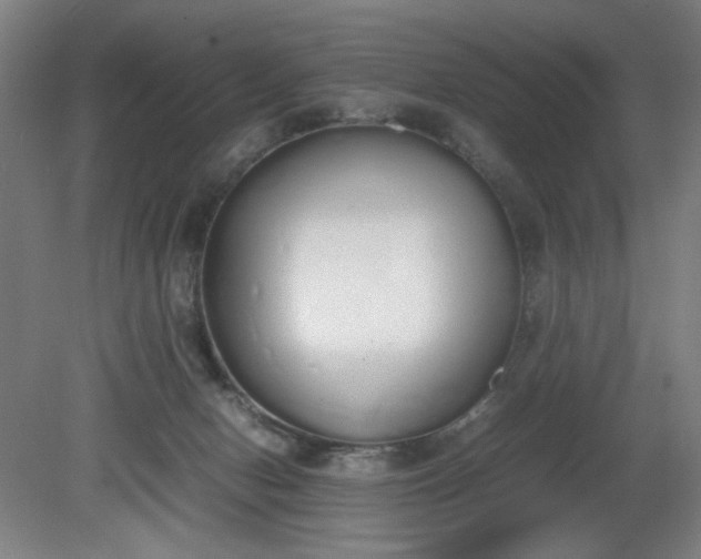 X0000081270078200701181728