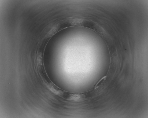 X0000081270083200701181728