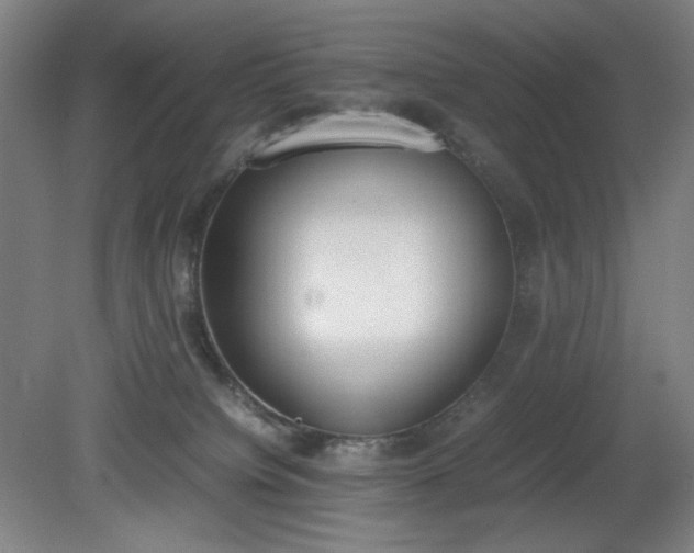 X0000081270084200701181728