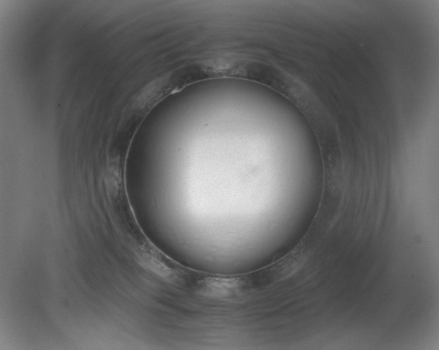 X0000081270085200701181728
