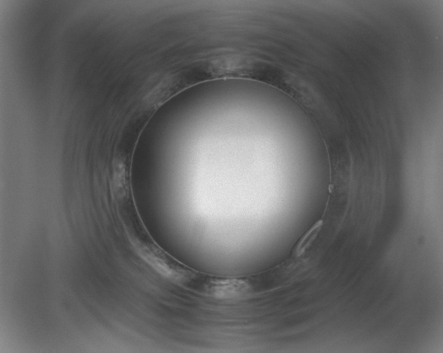 X0000081270087200701181728