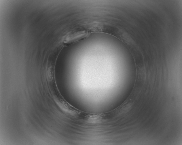 X0000081270088200701181728