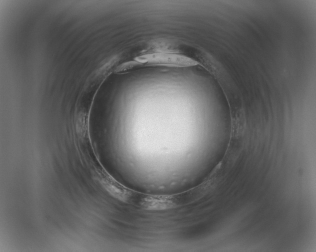 X0000081270093200701181728
