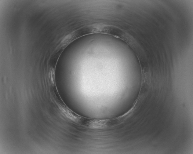 X0000081270094200701181728