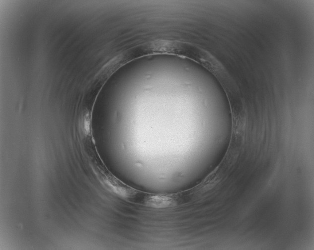 X0000081270095200701181728