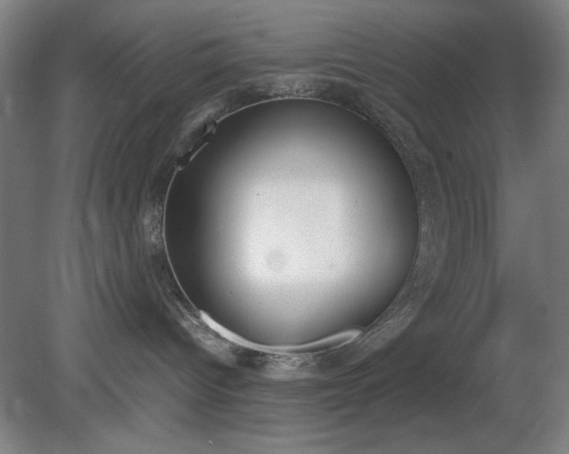 X0000081270096200701181728