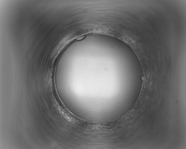 X0000081270098200701181727