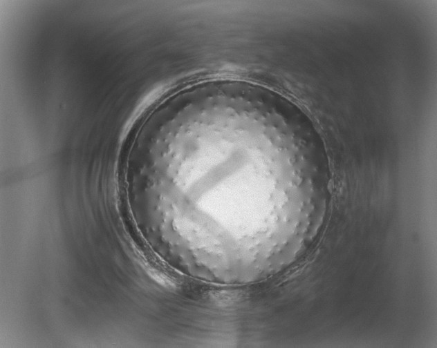 X0000081270102200701181727