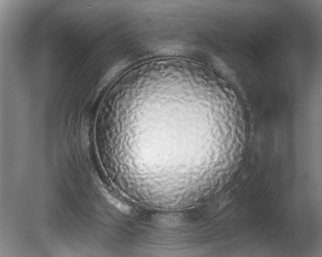 X0000081270106200701181727
