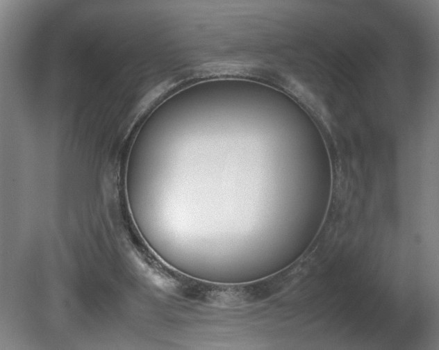 X0000081270107200701181727