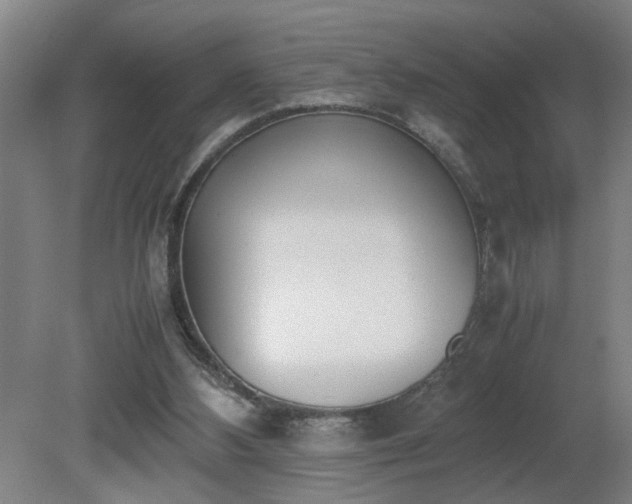 X0000081270108200701181727