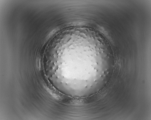X0000081270110200701181727