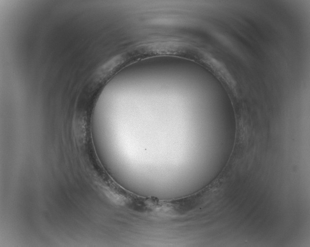 X0000081270113200701181727