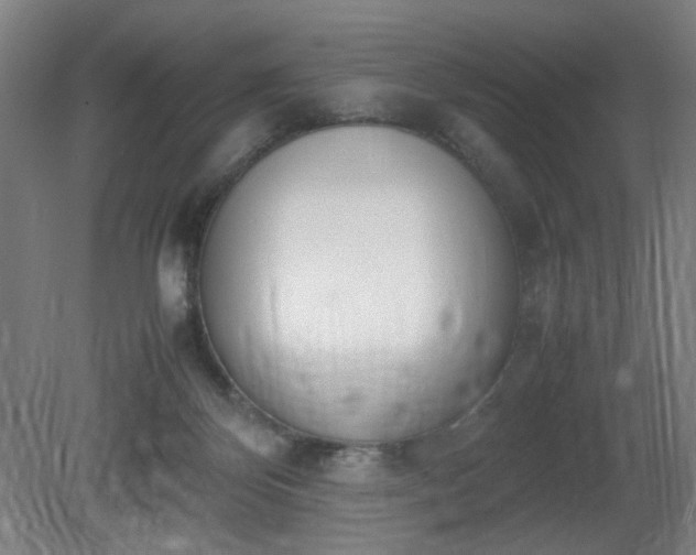 X0000081270124200701181727