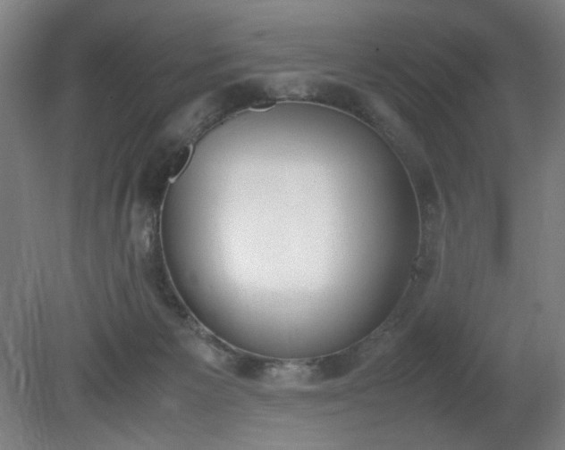 X0000081270125200701181727