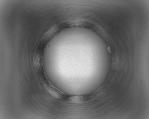 X0000081270126200701181727