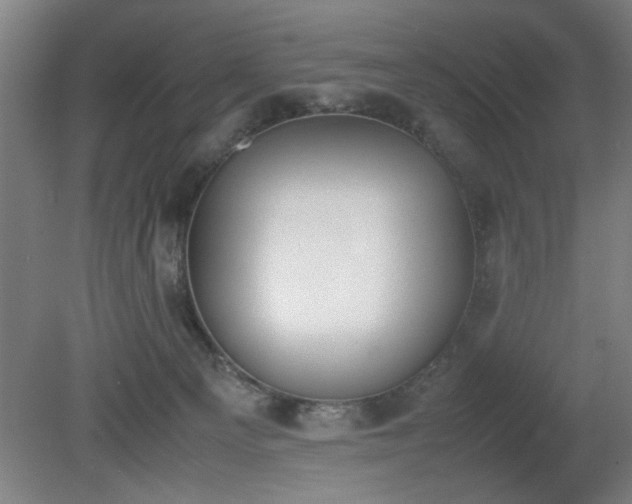 X0000081270129200701181727