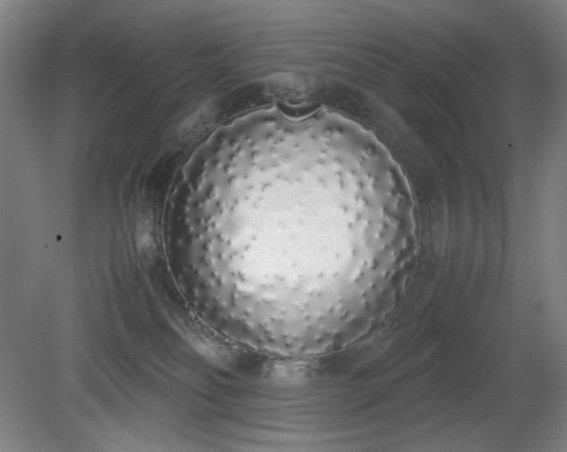 X0000081270134200701181727