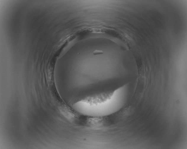 X0000081270139200701181727