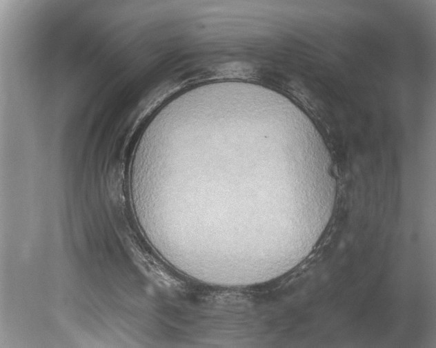 X0000081270146200701181726
