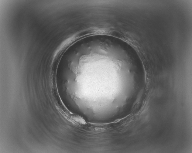 X0000081270149200701181726