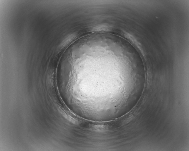 X0000081270153200701181726