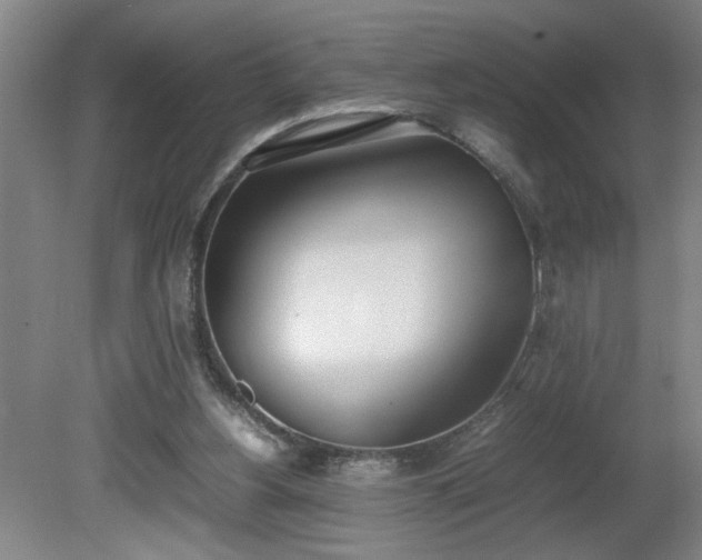X0000081270156200701181726